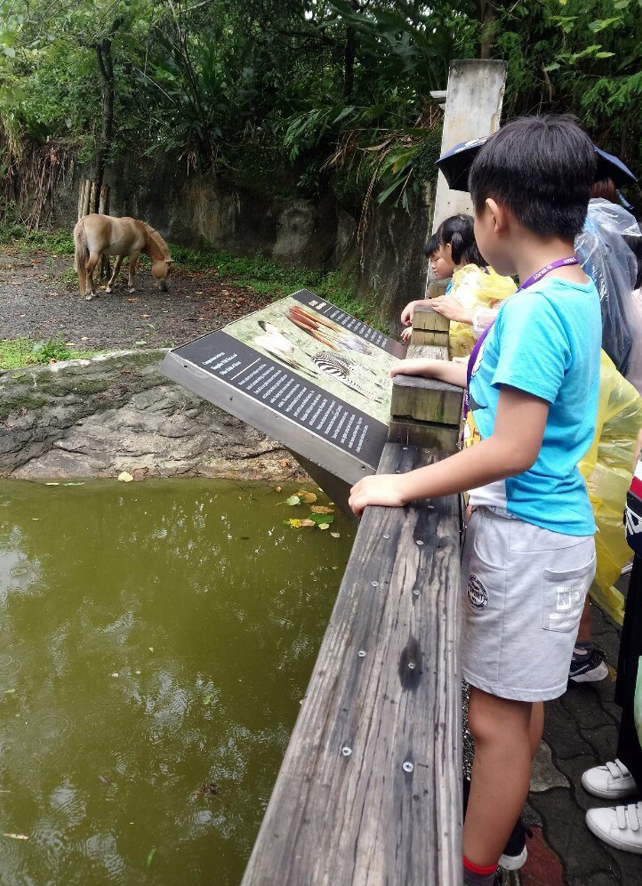 育幼院童在龍華科大藍鵲志工服務隊陪伴下，一圓看動物的心願。