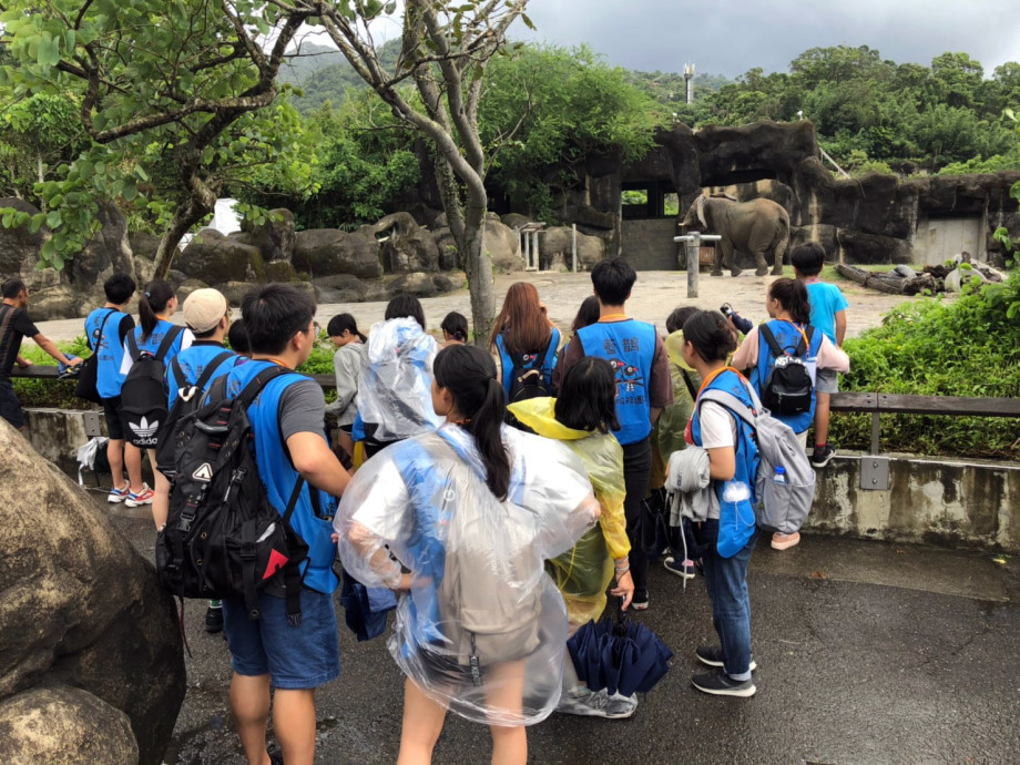 「牽緊小手，童尋幸福」龍華科大藍鵲志工服務隊在暑假尾聲陪伴育幼院童快樂造訪動物園。