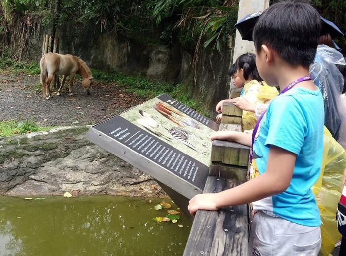 育幼院童在龍華科大藍鵲志工服務隊陪伴下，一圓看動物的心願。