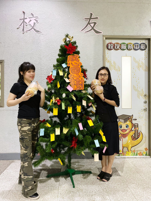 龍華科大校友服務中心門前感恩樹上，掛滿感謝語卡片。