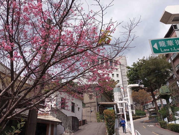 龍華科大致力綠化及環保卓然有成，隨處可見校園即花園的美麗景致。