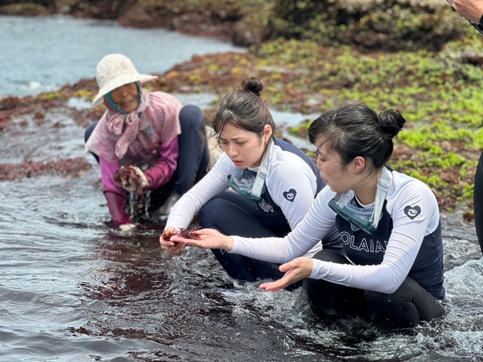 今年已高齡81歲的海女阿媽陳罔市帶著團隊成員體驗採海菜的海女生活。